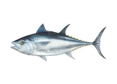 Profile image of 우유참치