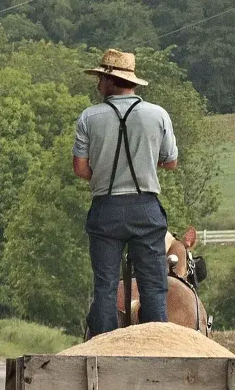 Profile image of Elias