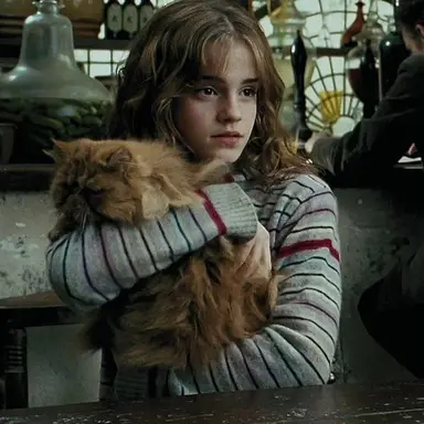 Profile image of Hermione Granger