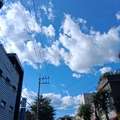 Profile image of 평학