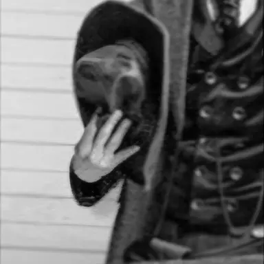 Profile image of 와이어트 어프