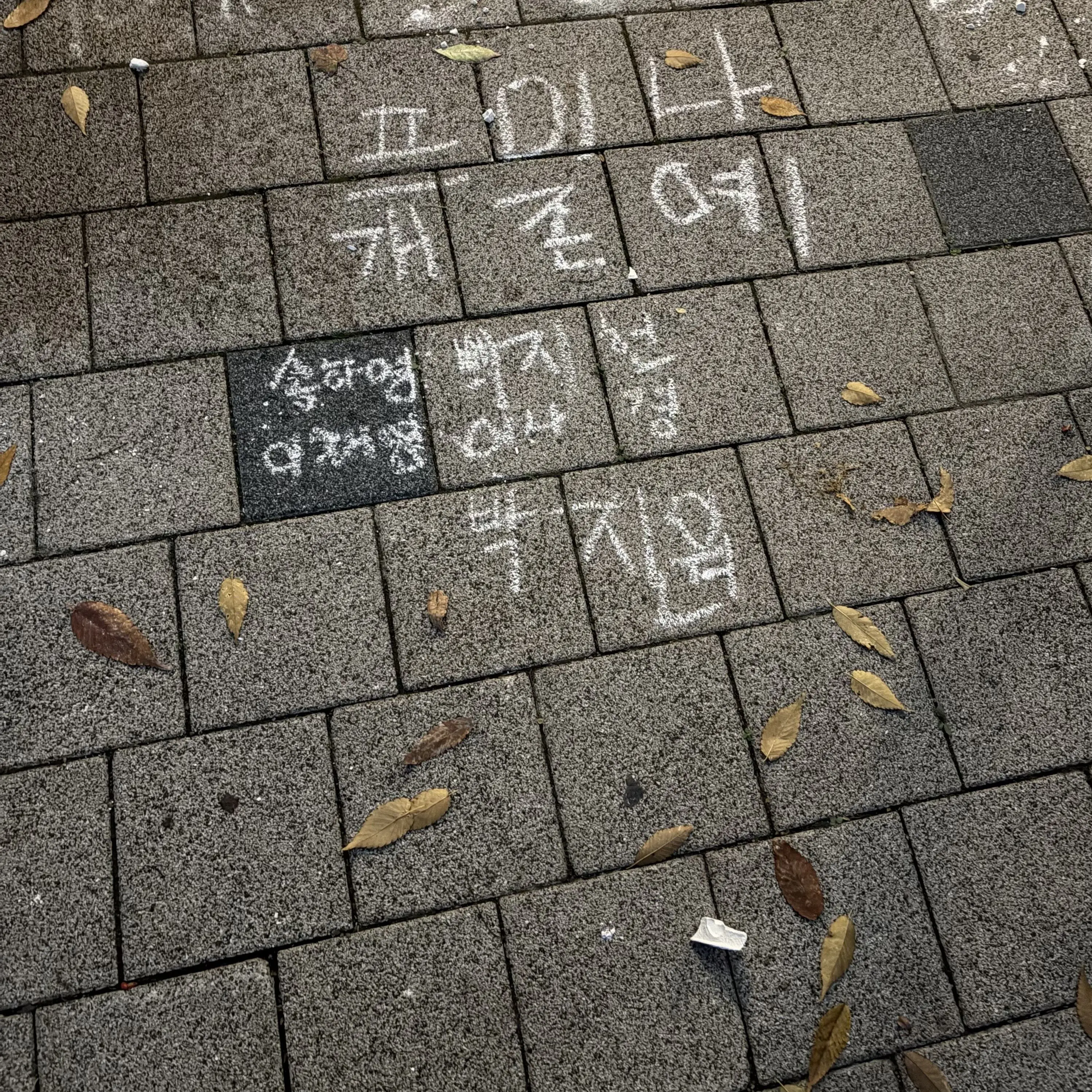 FLOVER_2017의 송하영을 짝사랑하다