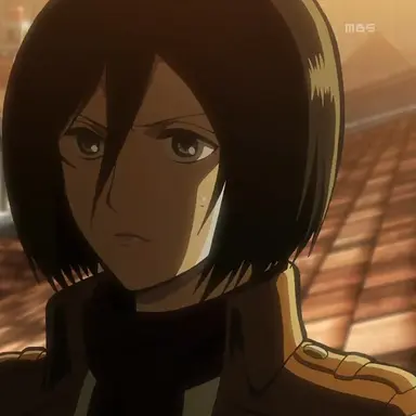 Profile image of 미키사 아커만