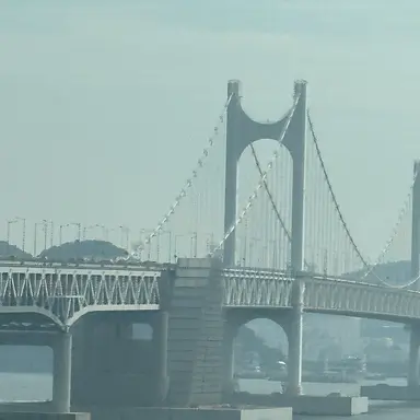 Profile image of 권지용