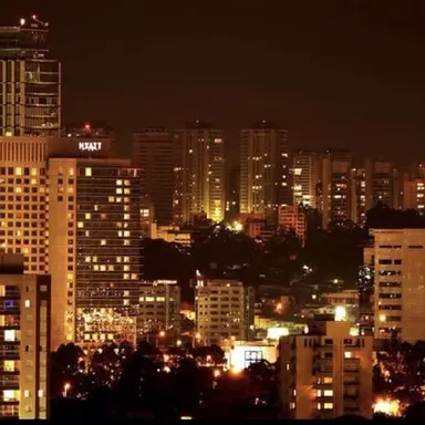 Profile image of 岩本 照