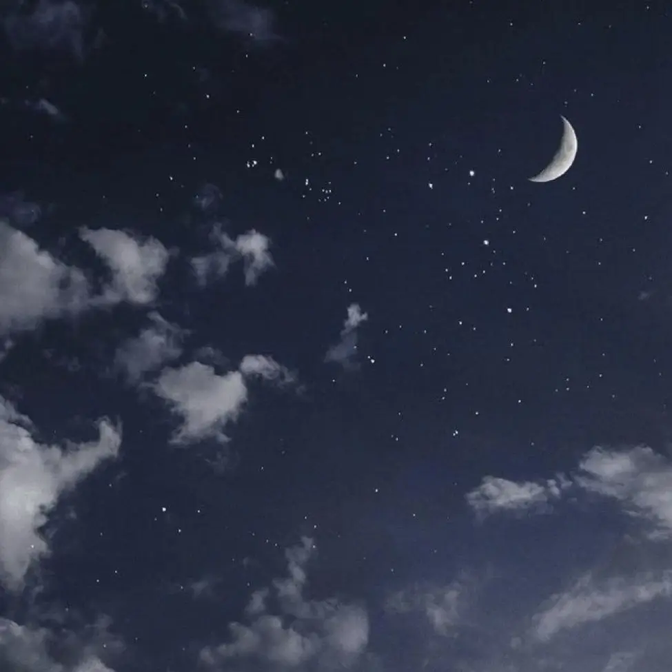 Daisaku0705의 殺し屋 と 動物達。