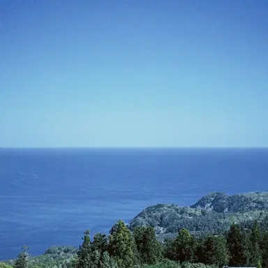 Profile image of Hikaru