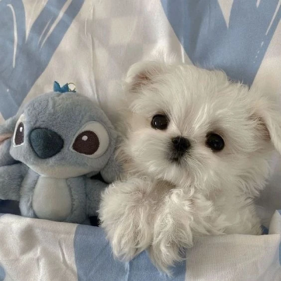 김규빈