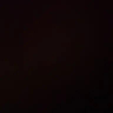 Profile image of 김솔음