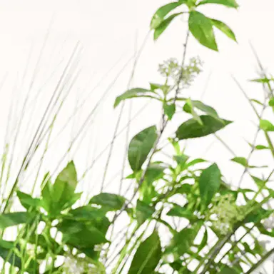 Profile image of 클유아 오빠