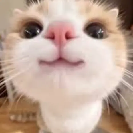 WildBilby9459의 스피키가 되보세요(?)