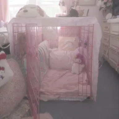 Profile image of Mr. Bear