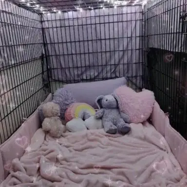 Profile image of Ms. Deer