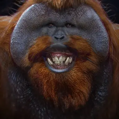 Profile image of 여우