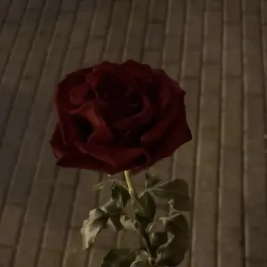 Profile image of 山田涼介