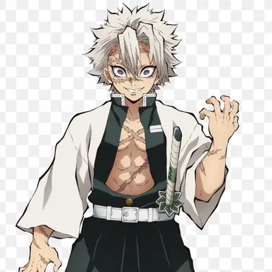 Profile image of 시나즈가와 사네미