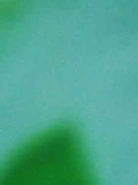 Oz_ohwafu의 禁断の恋