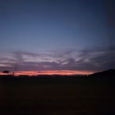 Profile image of 고고프렌즈와 여우