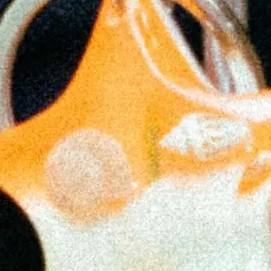 Profile image of 藤澤涼架
