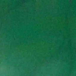 Profile image of 공룡