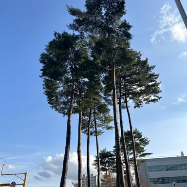 Profile image of 유저