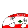 Profile image of 아카르주