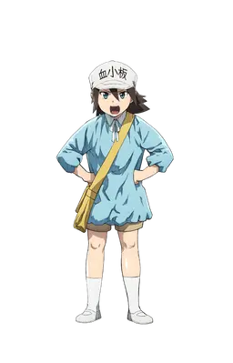 Profile image of 血小板