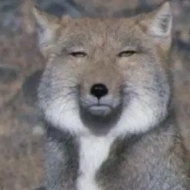 Profile image of 여우