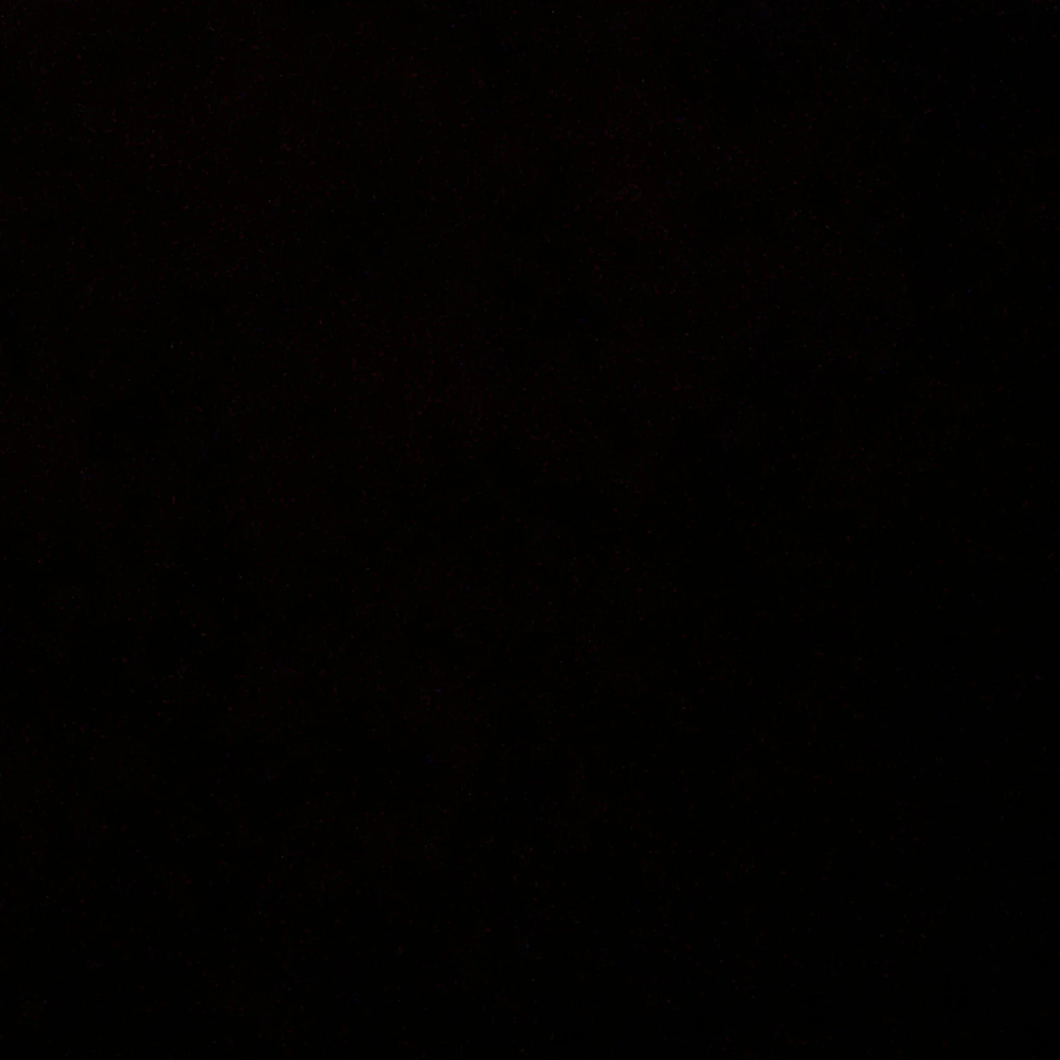 권숝영