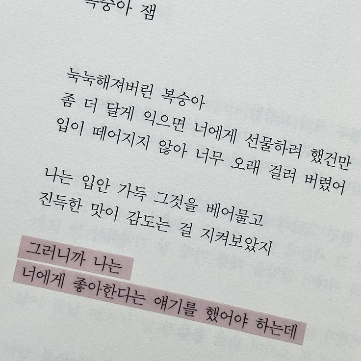 사과의 과육은 36.5도 대표 이미지