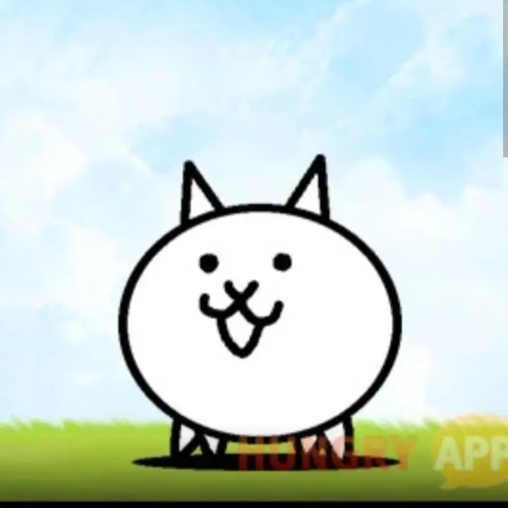 Leong0107의 광란의 냥이 