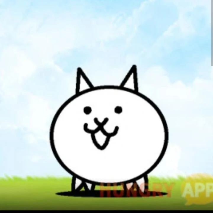 광란의 냥이