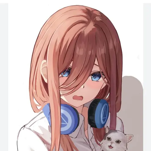 AO11의 나카노미쿠