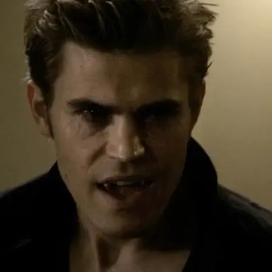 Profile image of Stefan Salvatore