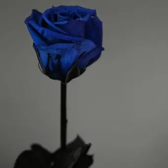 Profile image of 파크모