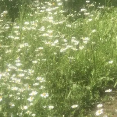 Profile image of 정형준