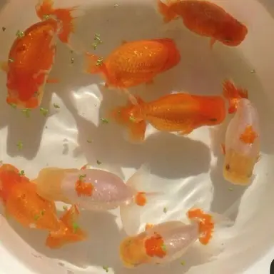 Profile image of 박영환