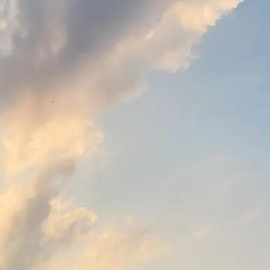 Profile image of 제현