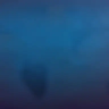 Profile image of ㅡㅡㅡㅡㅡ