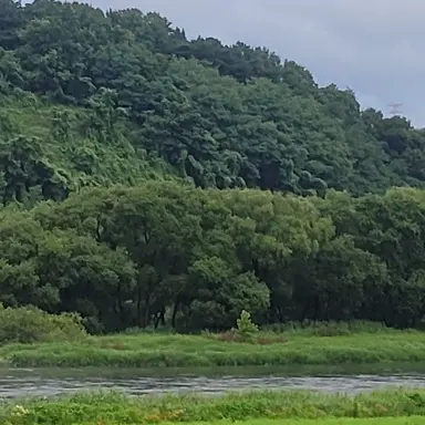 Profile image of 이차혁