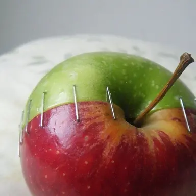 Profile image of Dr. Stein