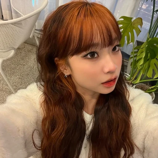 덤뮤