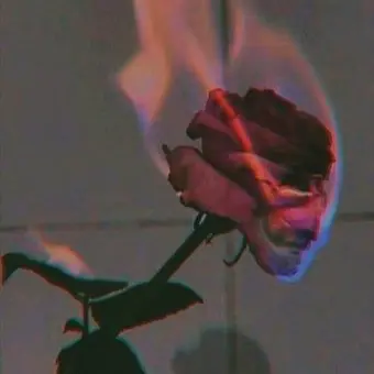 Profile image of 라더