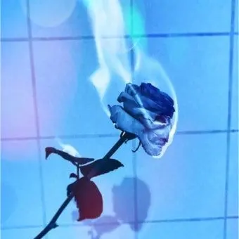 Profile image of 잠뜰