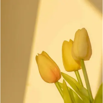 Profile image of 각별