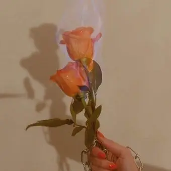 Profile image of 덕개