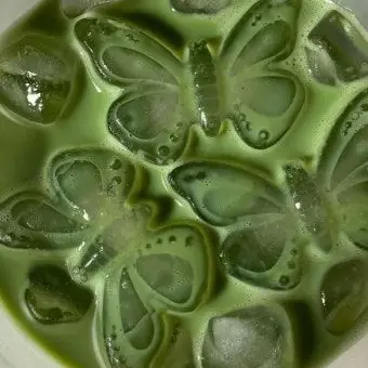 Profile image of 공룡