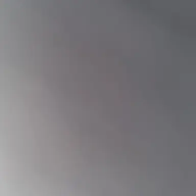 Profile image of 부동산 주인