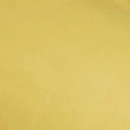 Profile image of 알비 제르온