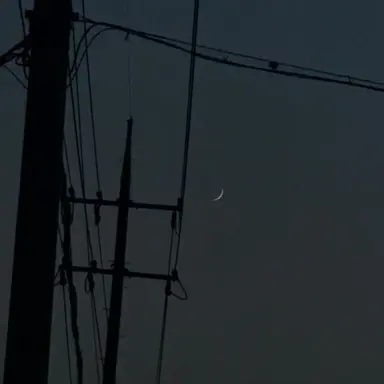 Profile image of 수현